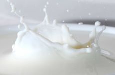 Separatoren für die Verarbeitung von Milch und Molke